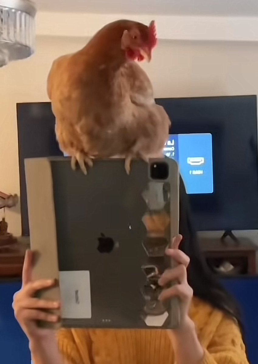 El sonny angel de Zayn