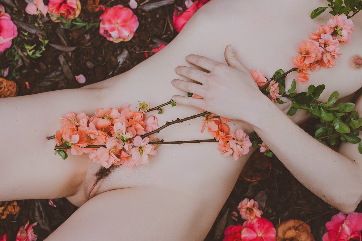 Nicole Vaunt tweet media