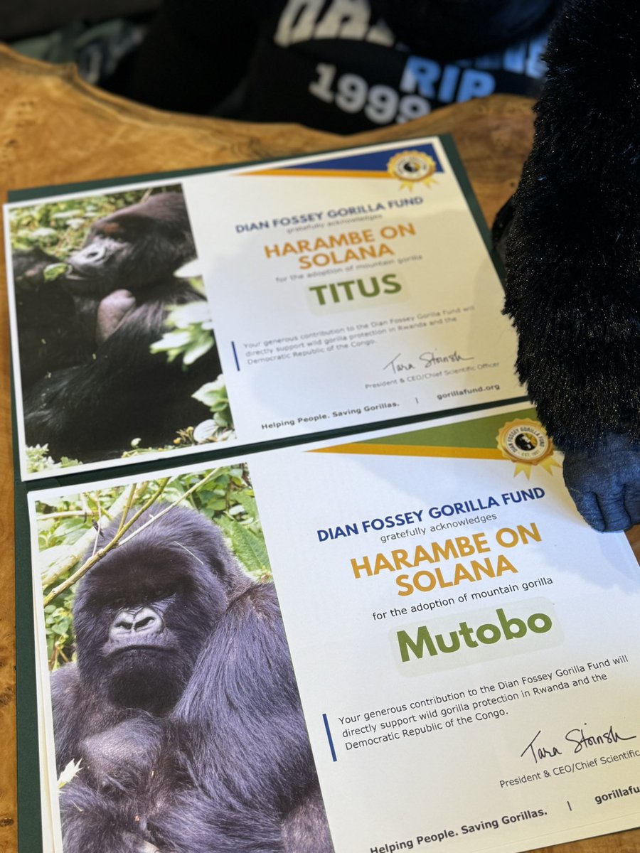 Onyx Capital (@onyx_branding) on Twitter photo We are proud to have donated profits to the Dian Fossey Gorilla Fund to adopt Titus & Mutobo
π¦π¦
<a href="/solanaharambe/">Harambe on Solana</a> team has adopted
a total of 12 / 69 gorillas to date We are proud to have donated profits to the Dian Fossey Gorilla Fund to adopt Titus & Mutobo
π¦π¦
<a href="/solanaharambe/">Harambe on Solana</a> team has adopted
a total of 12 / 69 gorillas to date