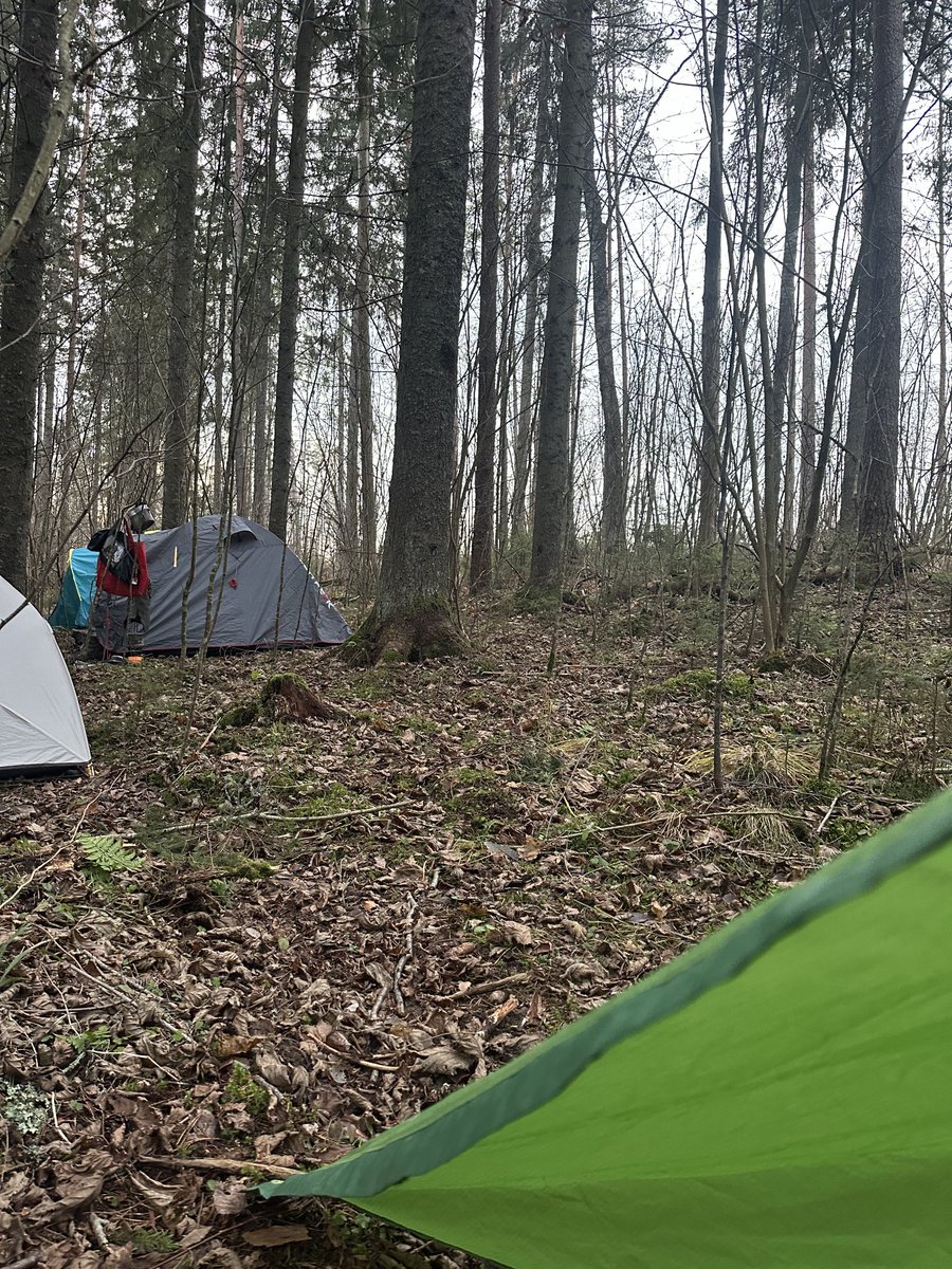 Lelde Ardava 💙💛 tweet media