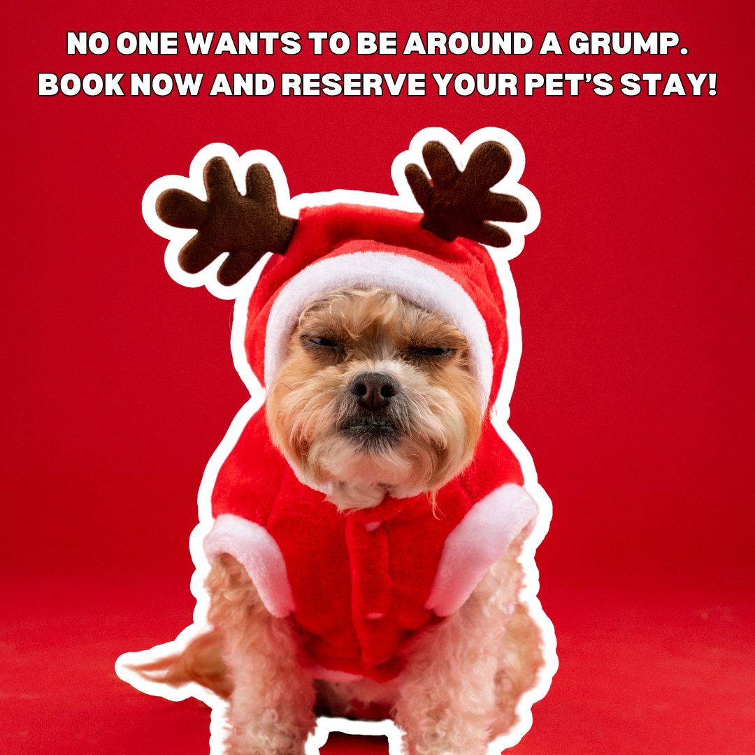 Don’t let your pets miss out on their holiday fun! 🎄🐶 Book their spot at Canine Country Club &amp; Feline Inn before it's too late. You wouldn't want them to be grumpy while you’re away! 🐾✈️

Book Now! caninecountryclubaz.com