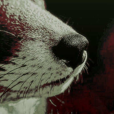 ‍‍ ‍ ‍‍ ‍‍ ‍ ‍𝕹 ‍ ‍‍ ‍‍、 ‍‍‍ ᴵᴷ‍‍𝒐͟𝒍͟𝒂͟𝒊. tweet media