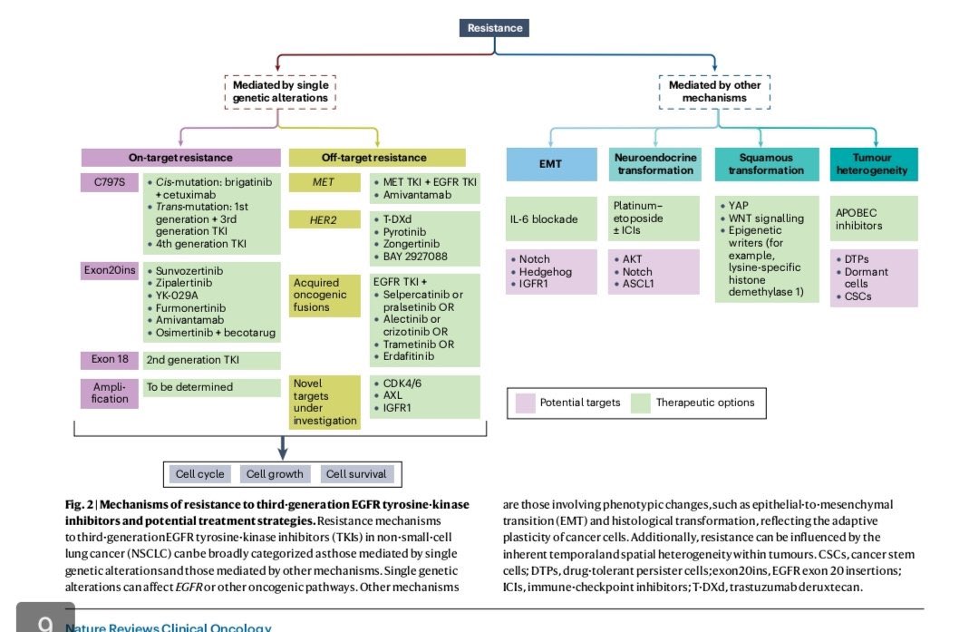 Giannis Mountzios tweet media