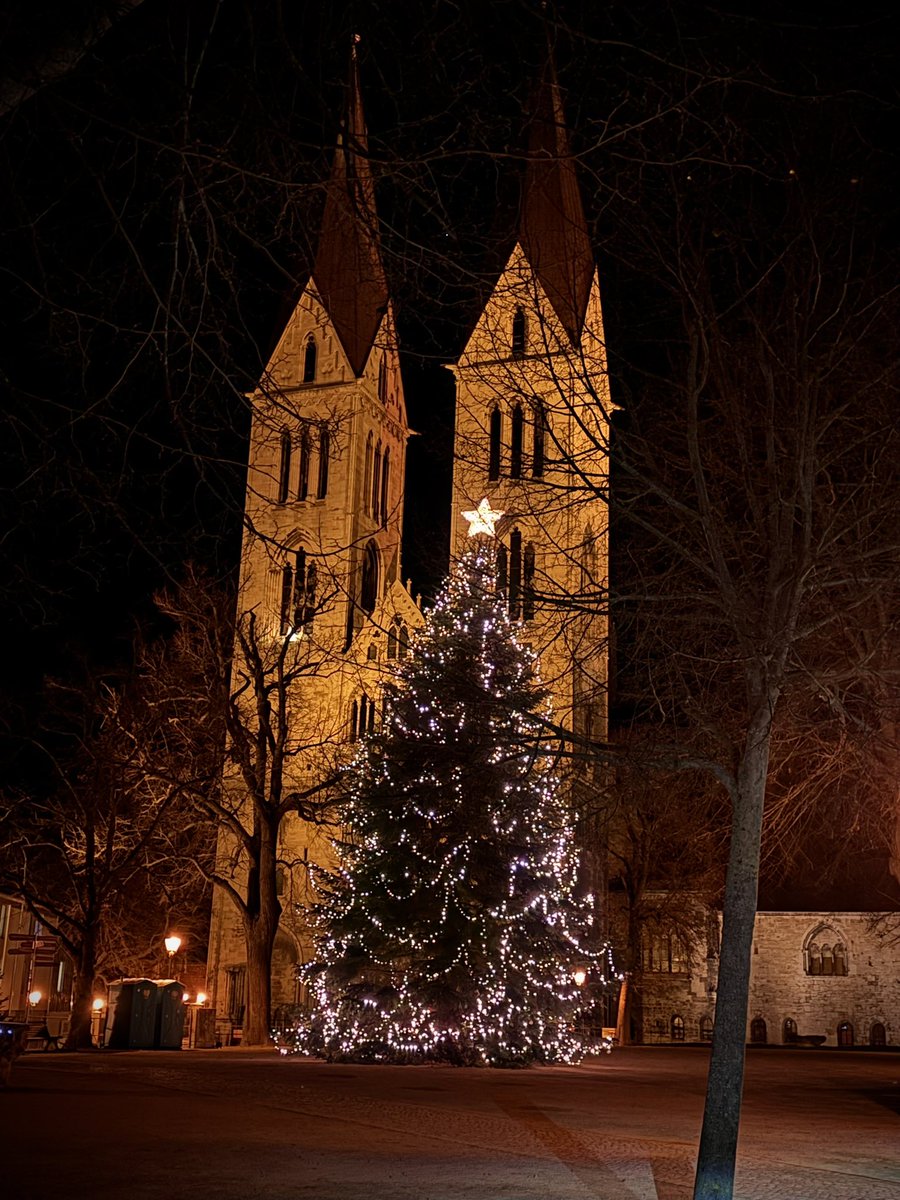 Nun leuchtet uns jeden Abend dieser herrliche Baum den Weg in den Feierabend in <a href="/HalberstadtInfo/">Dom- und Kreisstadt #Halberstadt</a> 
Was für eine Kulisse ☺️🌲🎄🎄🎄