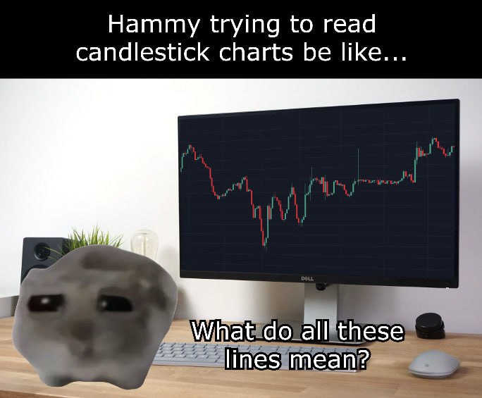 trying to understand the charts a newbie be like😂