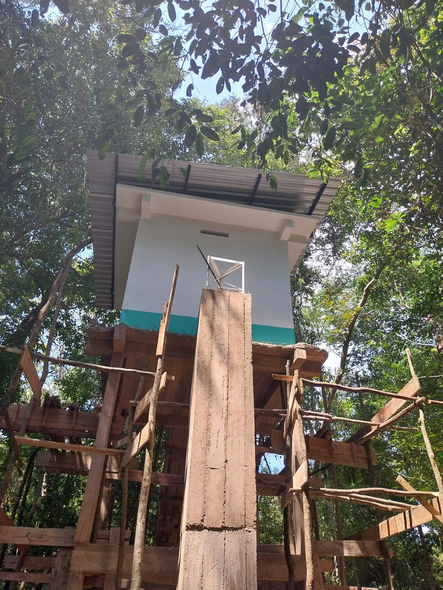 A long-term project is coming along!

The Mamirauá flux tower will be soon operating and measuring CH4, CO2 and H2O fluxes

The first flux tower in the Amazon floodplain várzea forests!

Partnership between Mamirauá Institute, Stanford Univ and Federal Univ of Santa Maria