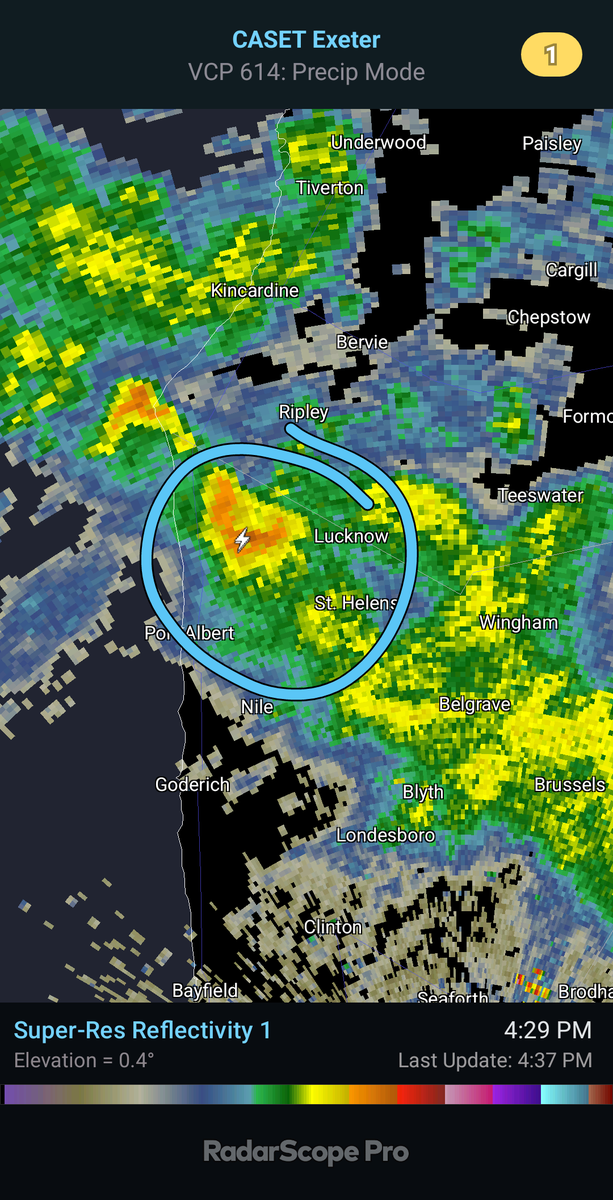 Chris Knox tweet media