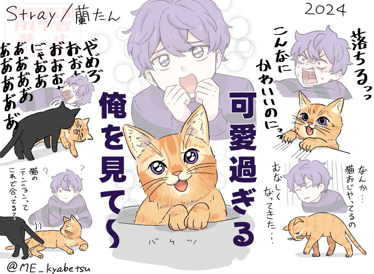 数年で蘭たんが他認猫おじさんから自認猫おじさんに進化したの笑った 