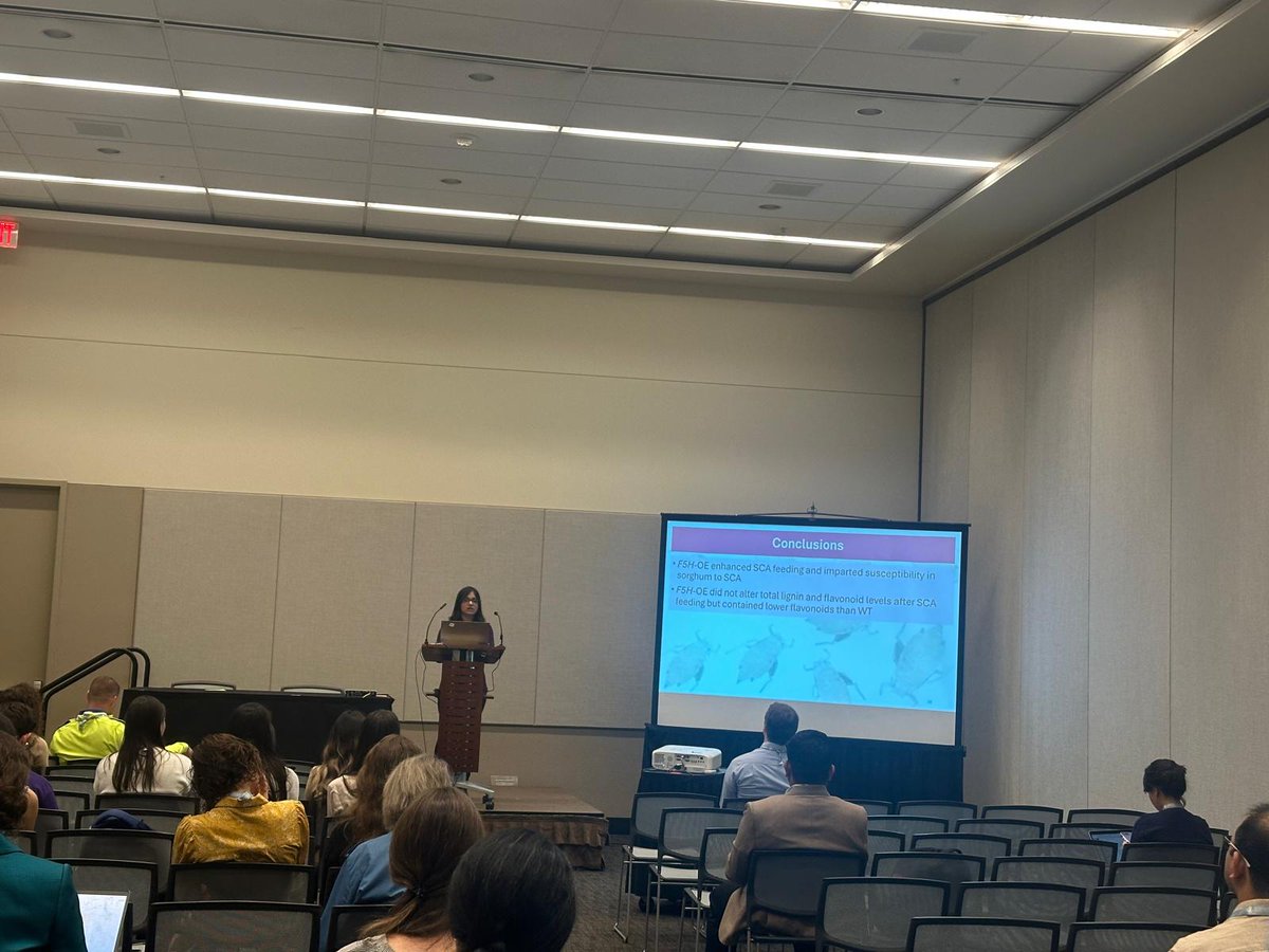 kashishverma_'s tweet image. Had a wonderful time at #EntSoc24!
Presented my first ever talk, happy to win 2nd place in P-IE: Ecology & IPM section! Grateful for the inspiring connections made, learnings, and meaningful moments shared.
Here’s to celebrating science and growing together! #GoBugRed 🐞