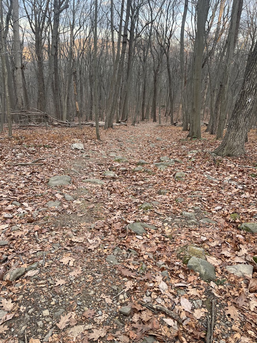 jfgrounds22's tweet photo. Running for fun !! Cold out ! I fell ! Sounds like fun !!🤩 https://t.co/F00on0WqeA