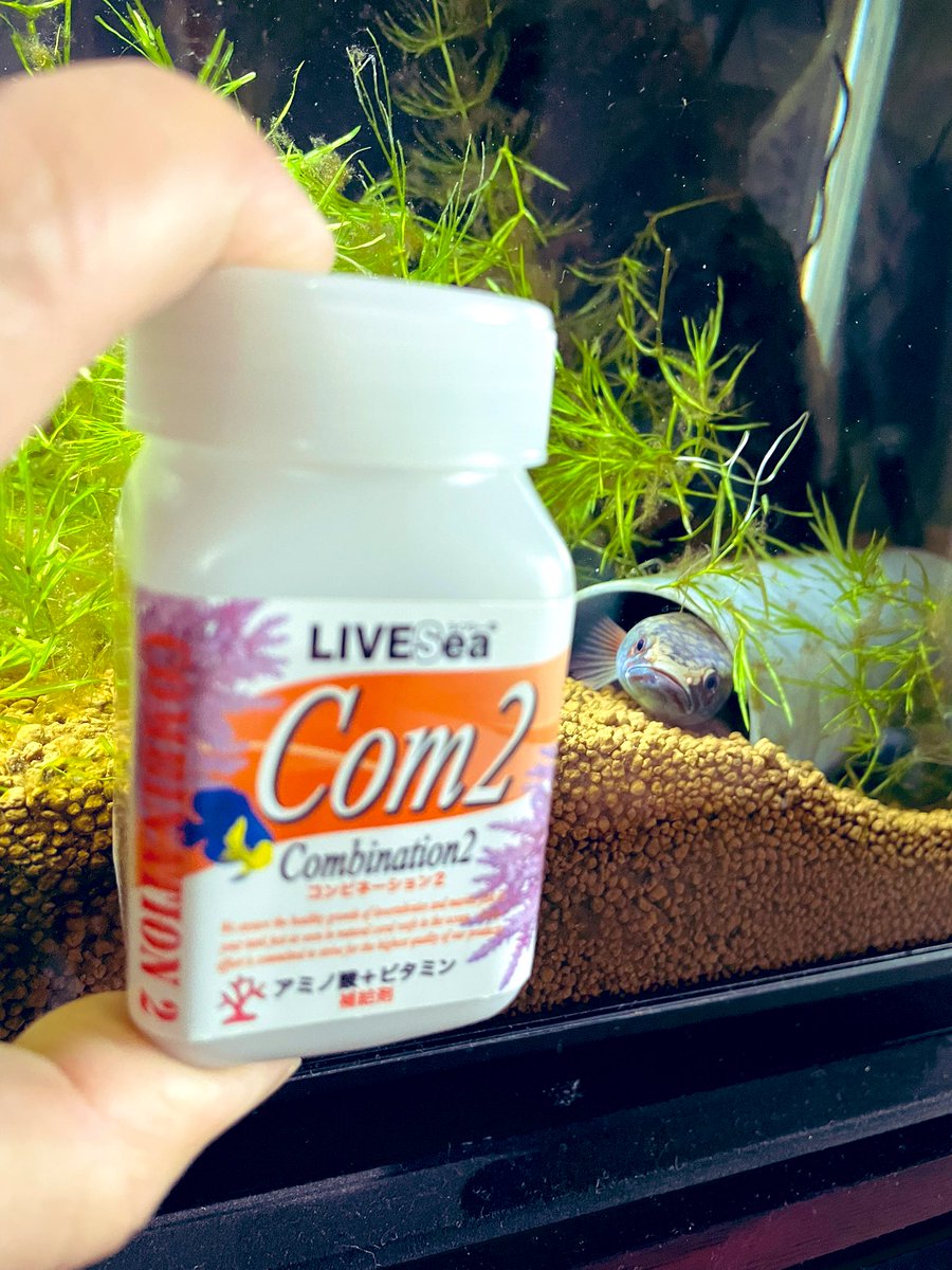 fusigimurasaki's tweet image. ビタミン投下〜 
 #スネへ
 #com2