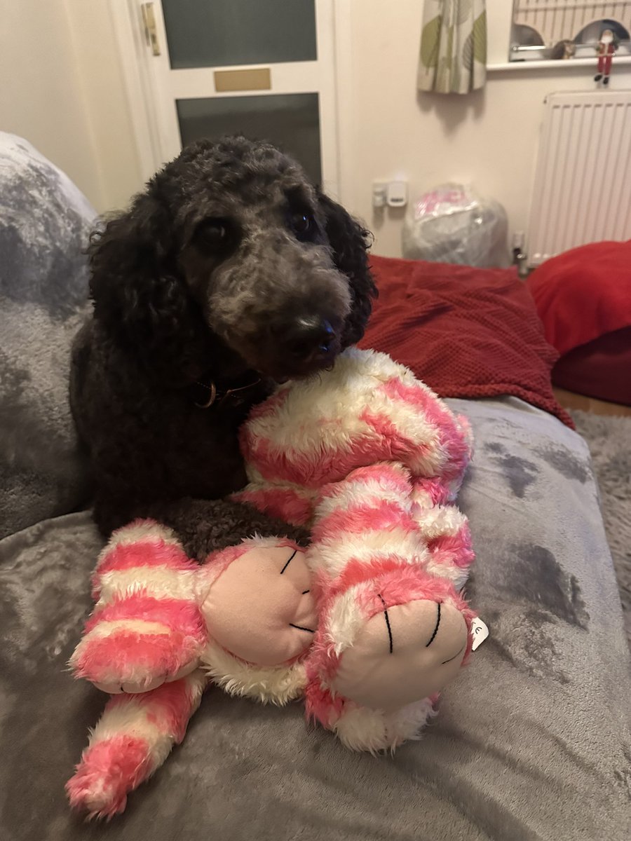 _GoldenDoodle1's tweet photo. My sister pinching my mommies 80’s toy! #Bagpuss https://t.co/gnR1XYKGGH