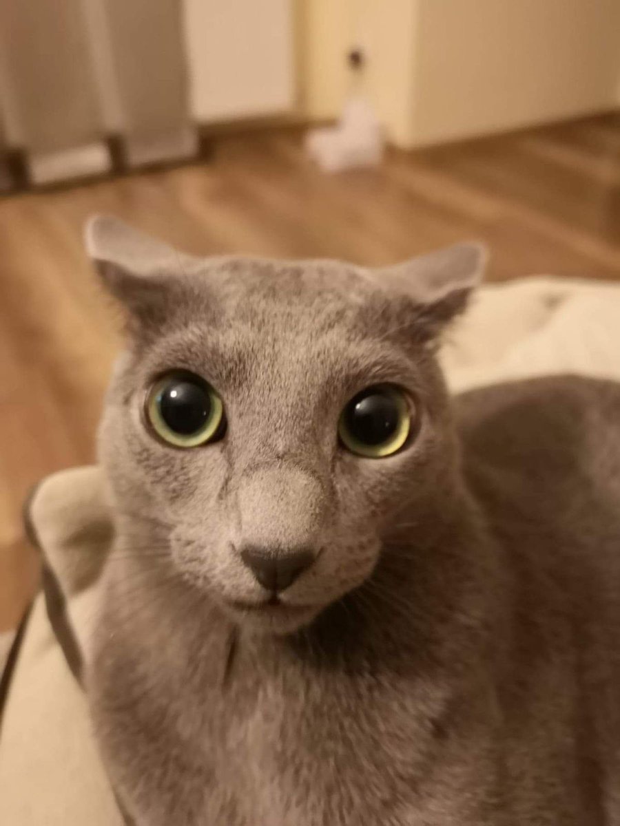wyn_irl's tweet photo. bro.. https://t.co/EclwkileqJ