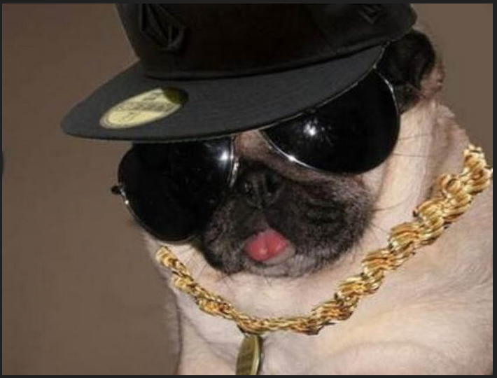 Within Feel tweet media