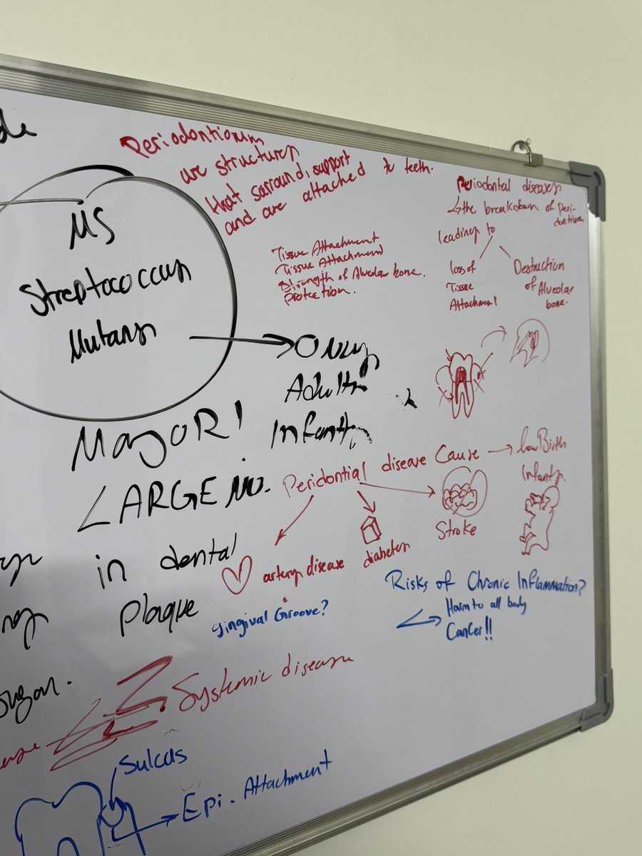 studywithvee's tweet image. Actually going insane 

#examtwt #studytwt #cryforhelp