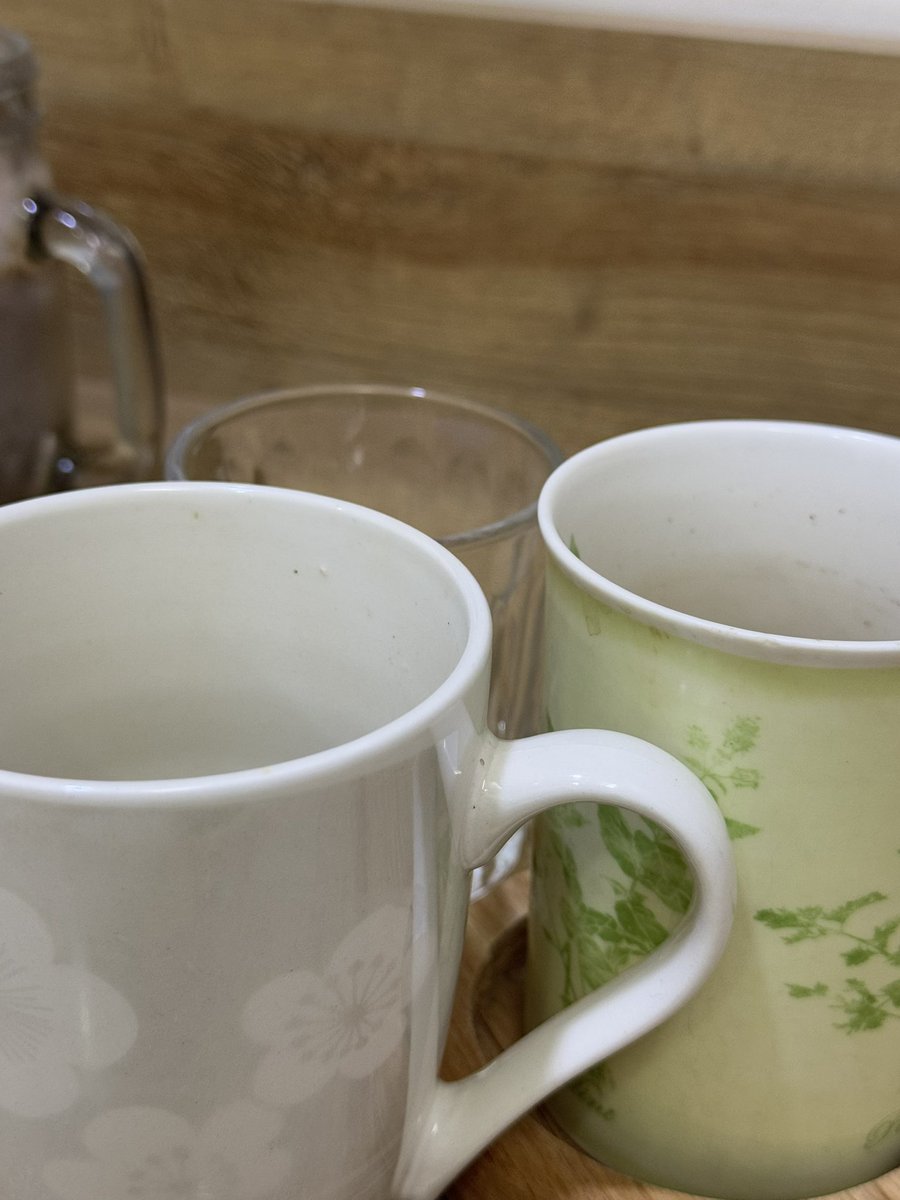 studywithvee's tweet image. Actually going insane 

#examtwt #studytwt #cryforhelp