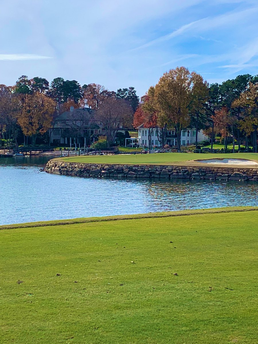 frank arko tweet media