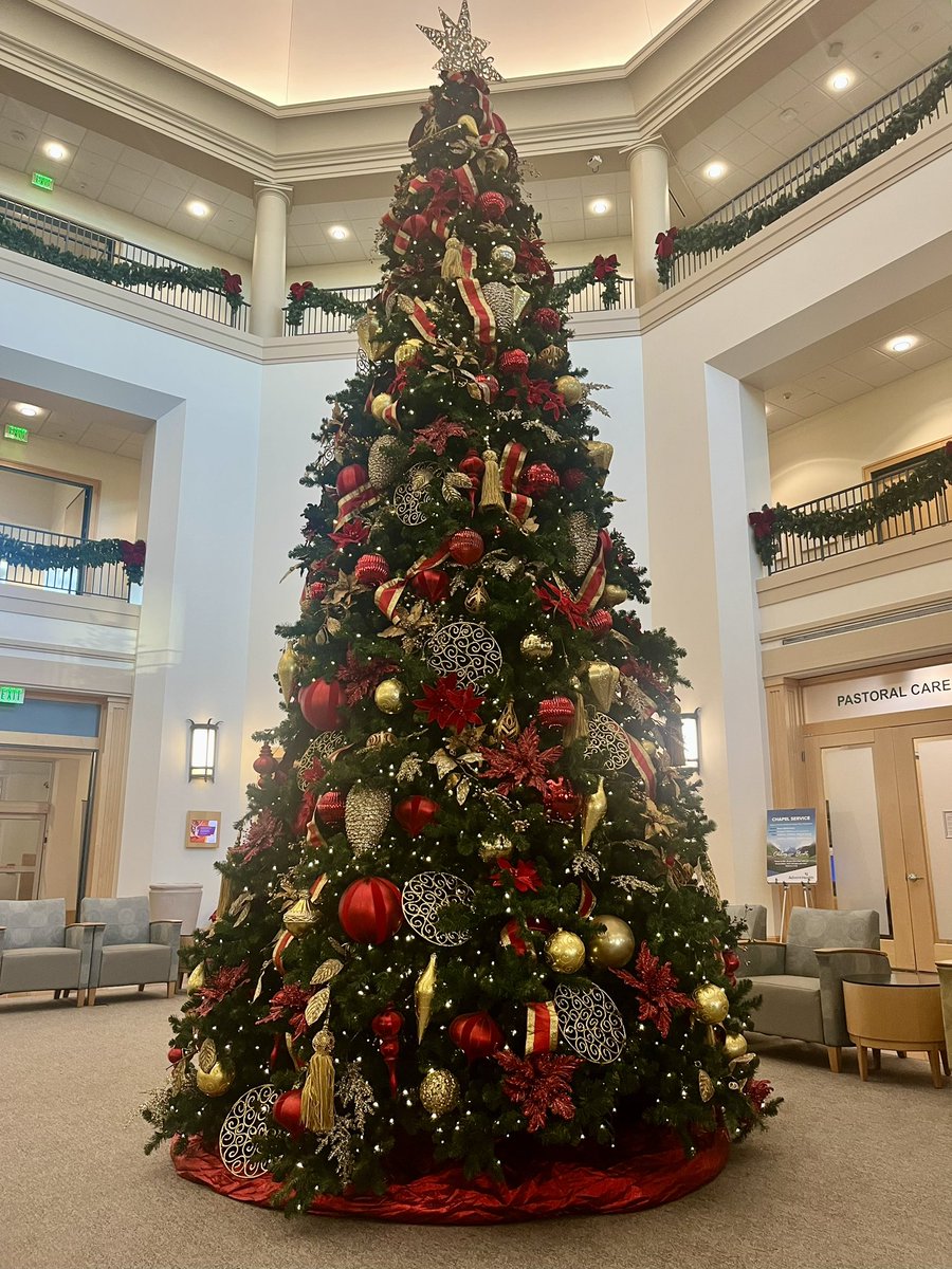 Yu_pandacopanda's tweet photo. Big beautiful tree has emerged. # Christmas https://t.co/j39mqxYJlv