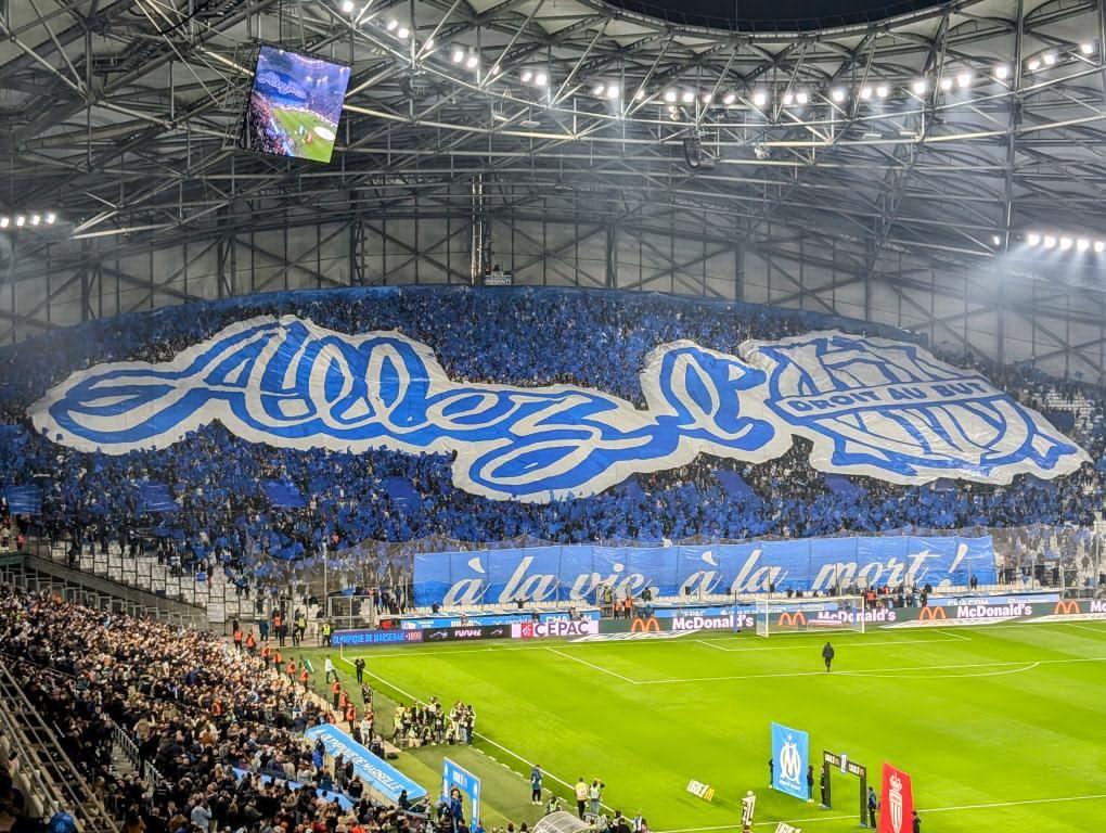 ompassion's tweet image. #OMASM
⚪️🔵