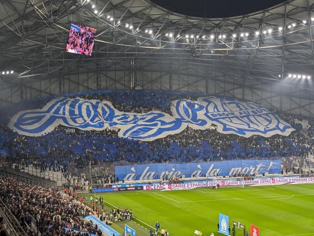 ompassion's tweet image. #OMASM
⚪️🔵