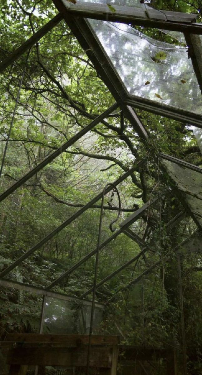 𓍊˖ ࣪⊹ (@goblinc0re) on Twitter photo 