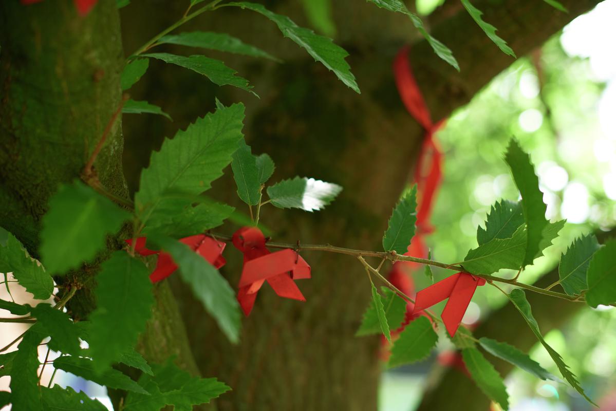 Mark Etheridge 🏳️🌈🏴📷 tweet media