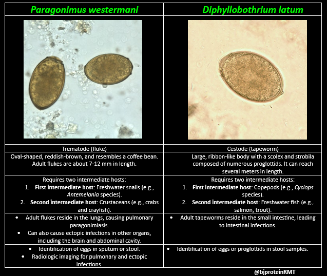 lifeofamedtech's tweet photo. Paragonimus westermani &amp; Diphyllobothrium latum can sometimes be mistaken for one another due to overlapping clinical presentations, misidentification of their eggs in diagnostic procedures, and their shared association with dietary habits (consumption of undercooked seafood). https://t.co/UPLbcWpnQw