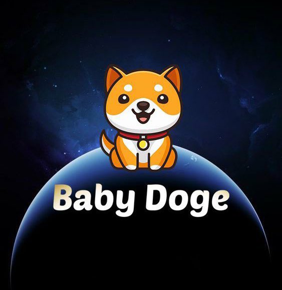 BabyDogenews_'s tweet photo. Are you ready to become multi #millionaires ⁉️📈⁉️📈⁉️

#BabyDoge 🔜 $0.0002 💹💹💹💹💹 https://t.co/9EaisREYnv