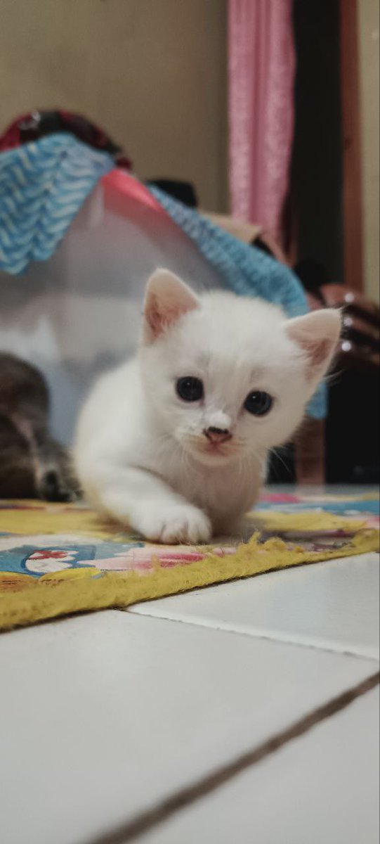 Jujun ngaber tweet media