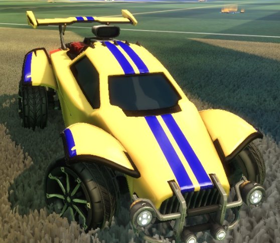 MonkeysFDL tweet media