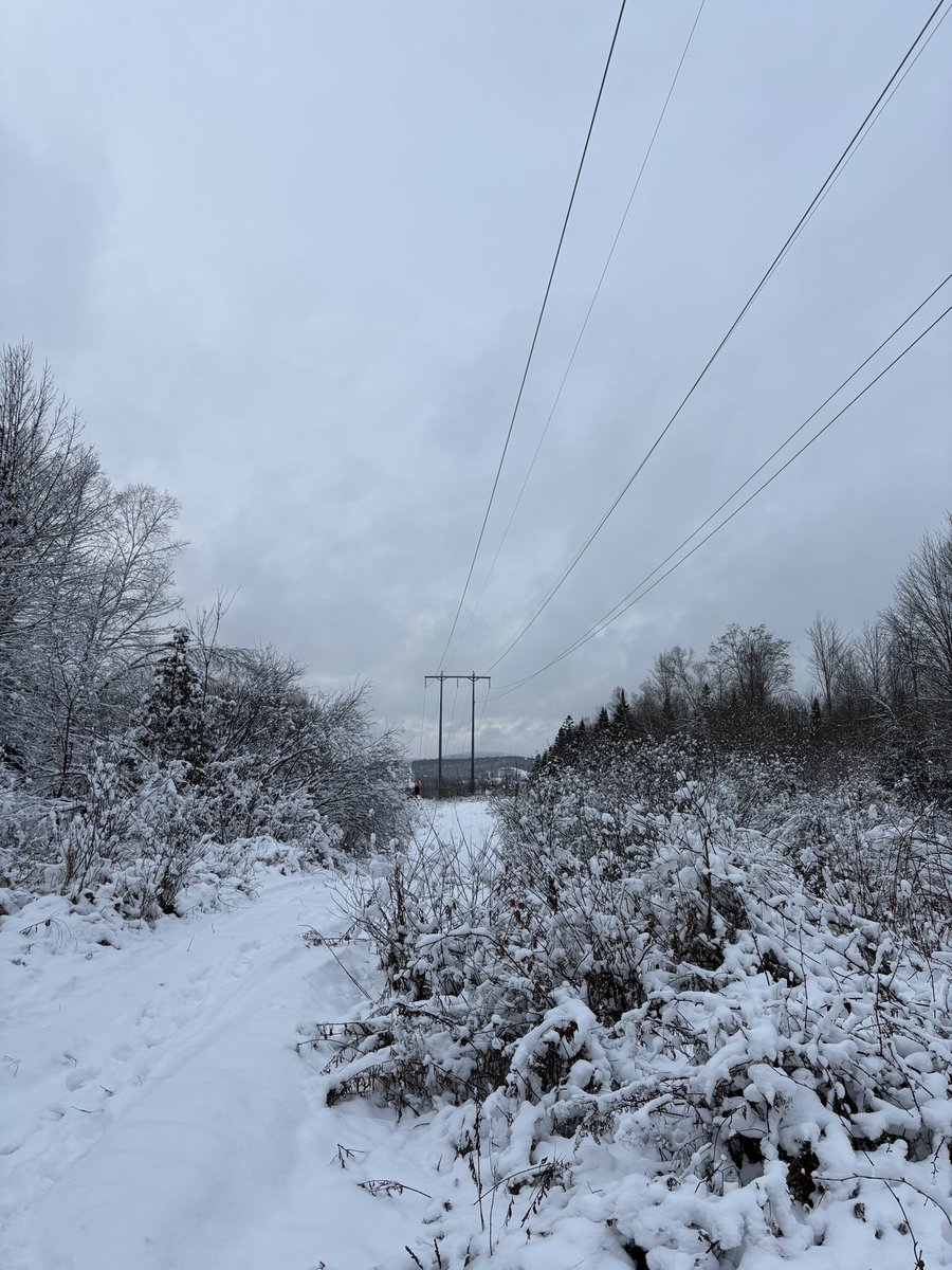 amosedale's tweet photo. wintriness.. #vt the beauty of #gunmetal grey https://t.co/7hbSuNX6Pk