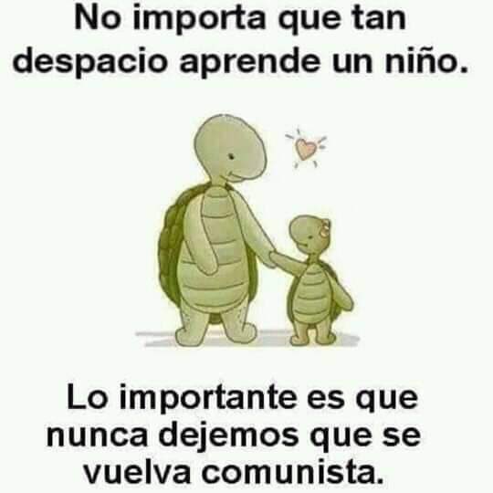 El Tano Pascucci tweet media