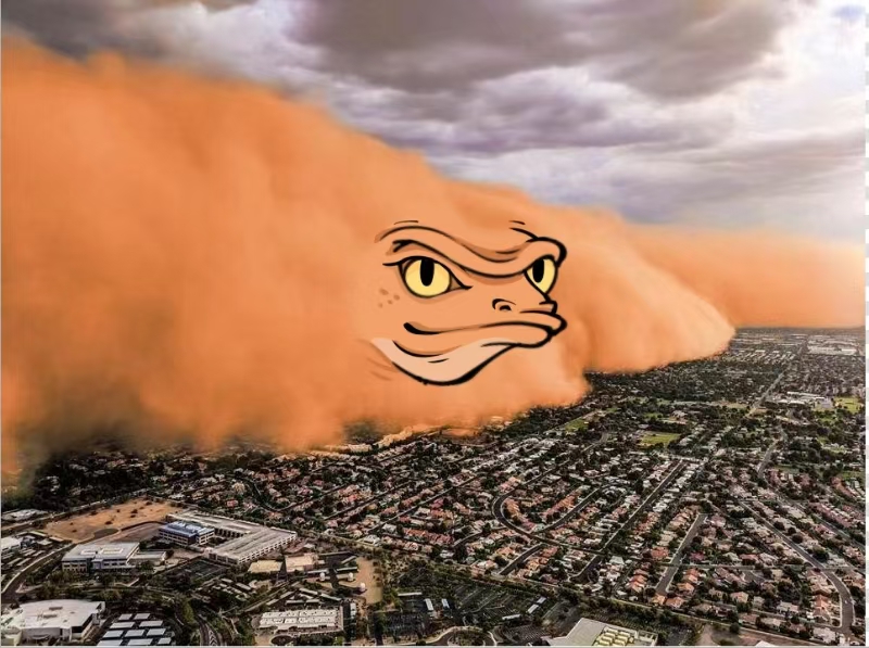 Chameleon.Travel tweet media