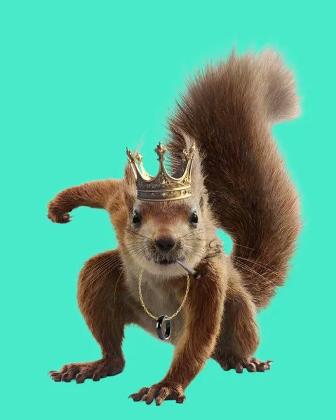 KPNUT_on_KASDAG tweet media