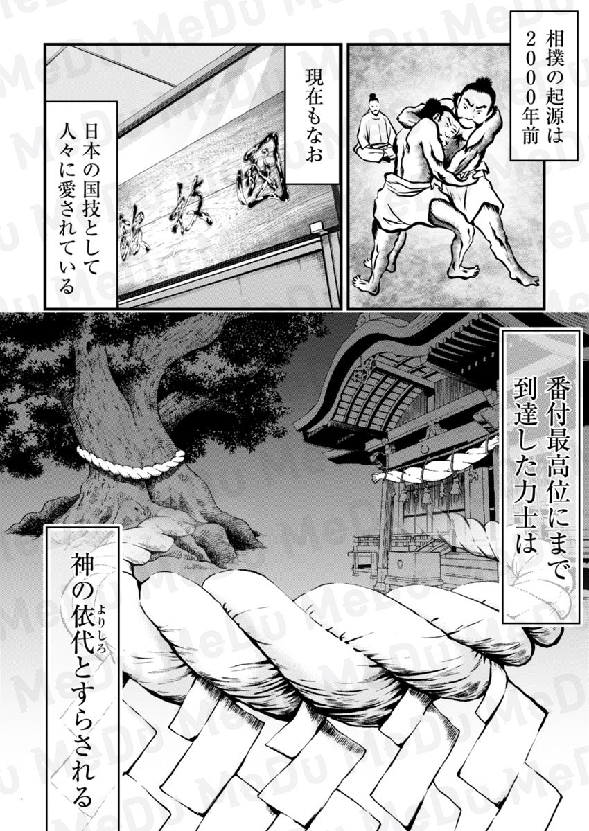 横綱になる為に必要なのは体型ではない!?(1/9) 