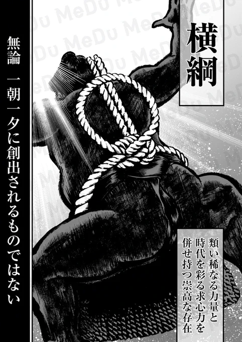 横綱になる為に必要なのは体型ではない!?(2/9) 