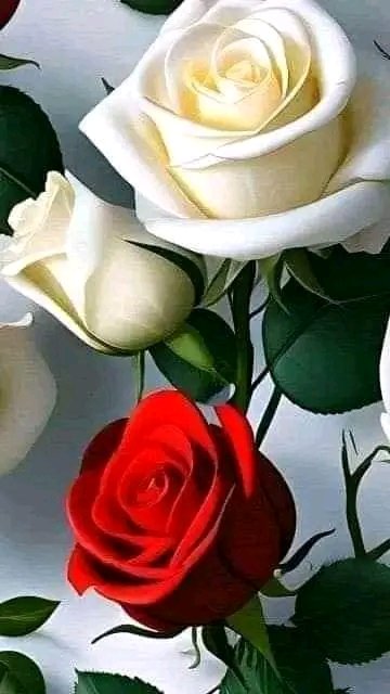 ChauquiLopez's tweet photo. @danielagon969 Hola https://t.co/S72ePegNi0