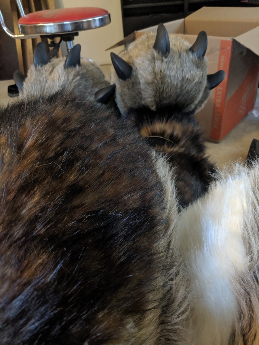 Pov: you are a wolfyLion looking at his paws