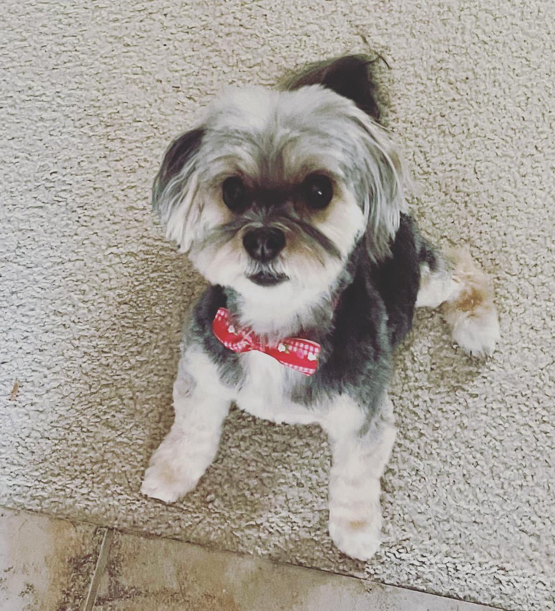 Zach Eicher tweet media