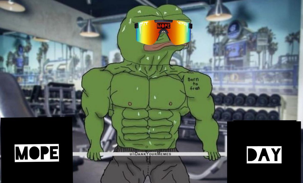 Never skip $MOPE Day 

Stay moggin cousins #MogPepe