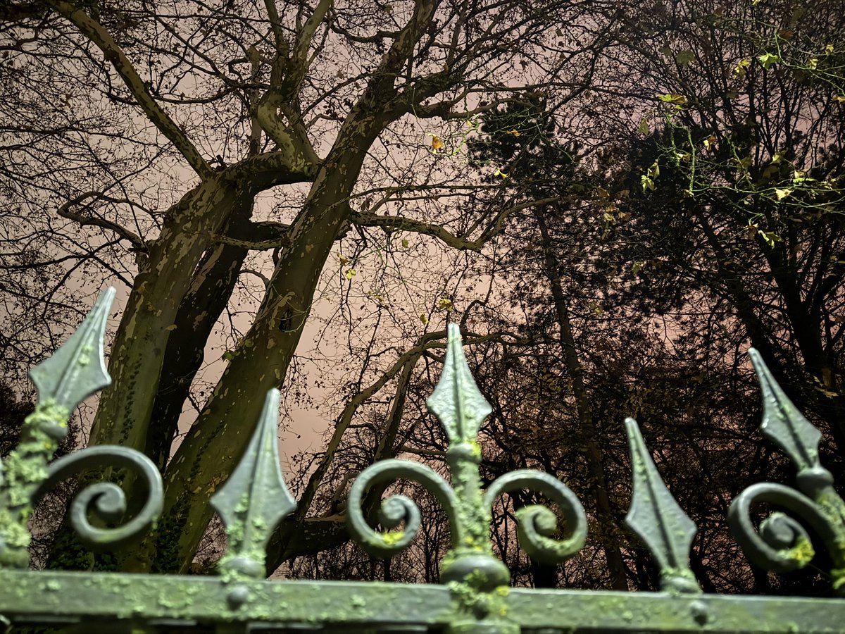 Christmas Market at Castle Thurn &amp; Taxis 🏰🎄🎅🏽