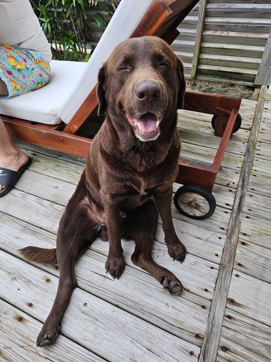 Problem_SoIver's tweet photo. I met a friend. https://t.co/1ywk24Rl2O