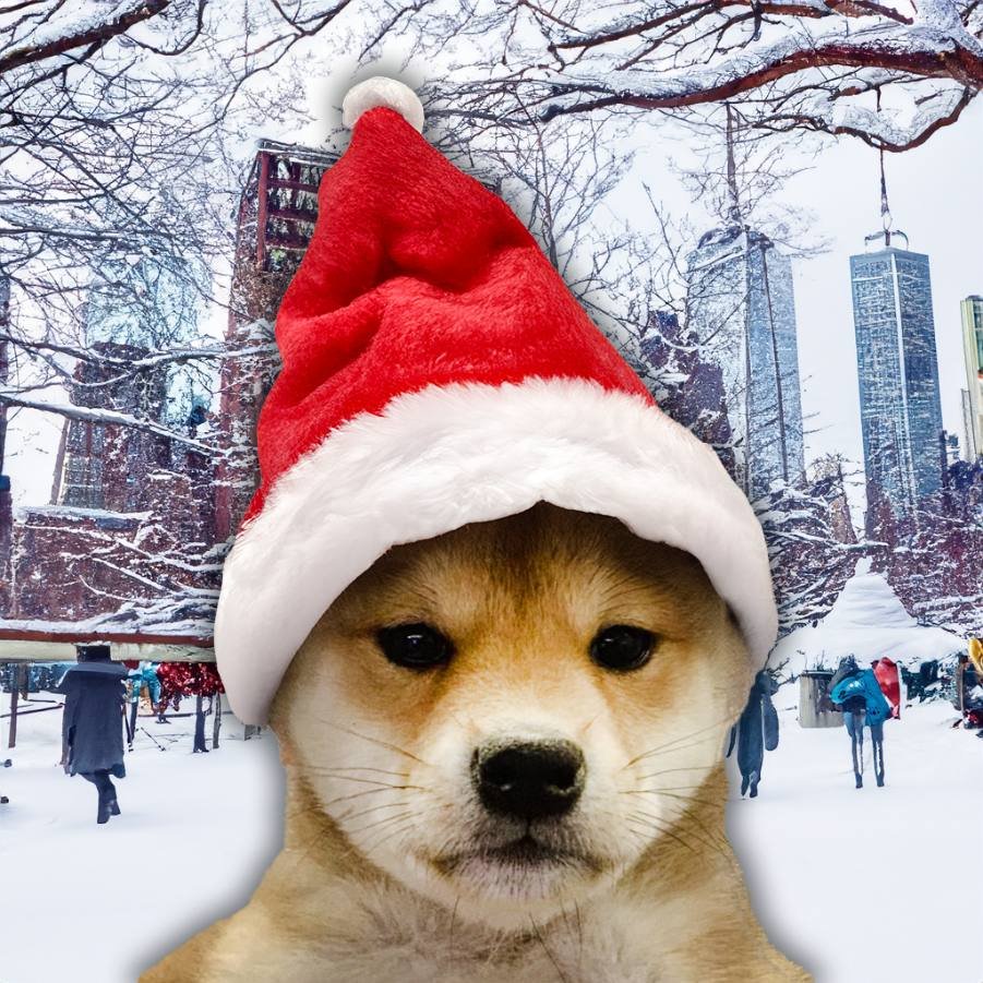 Ldubyeah_5's tweet photo. @Maverickscalls $WIFSANTA IS GOING TO RUN THIS WHOLE MONTH, WERE BRINGING THE GAINS TO THE PEOPLE. COMMUNITY AND DEV TEAM ARE GOATED! COME THROUGH!!

https://t.co/tcRXeZ3eOO

https://t.co/teZwQ3WUbw https://t.co/Jr9dHh2PQf