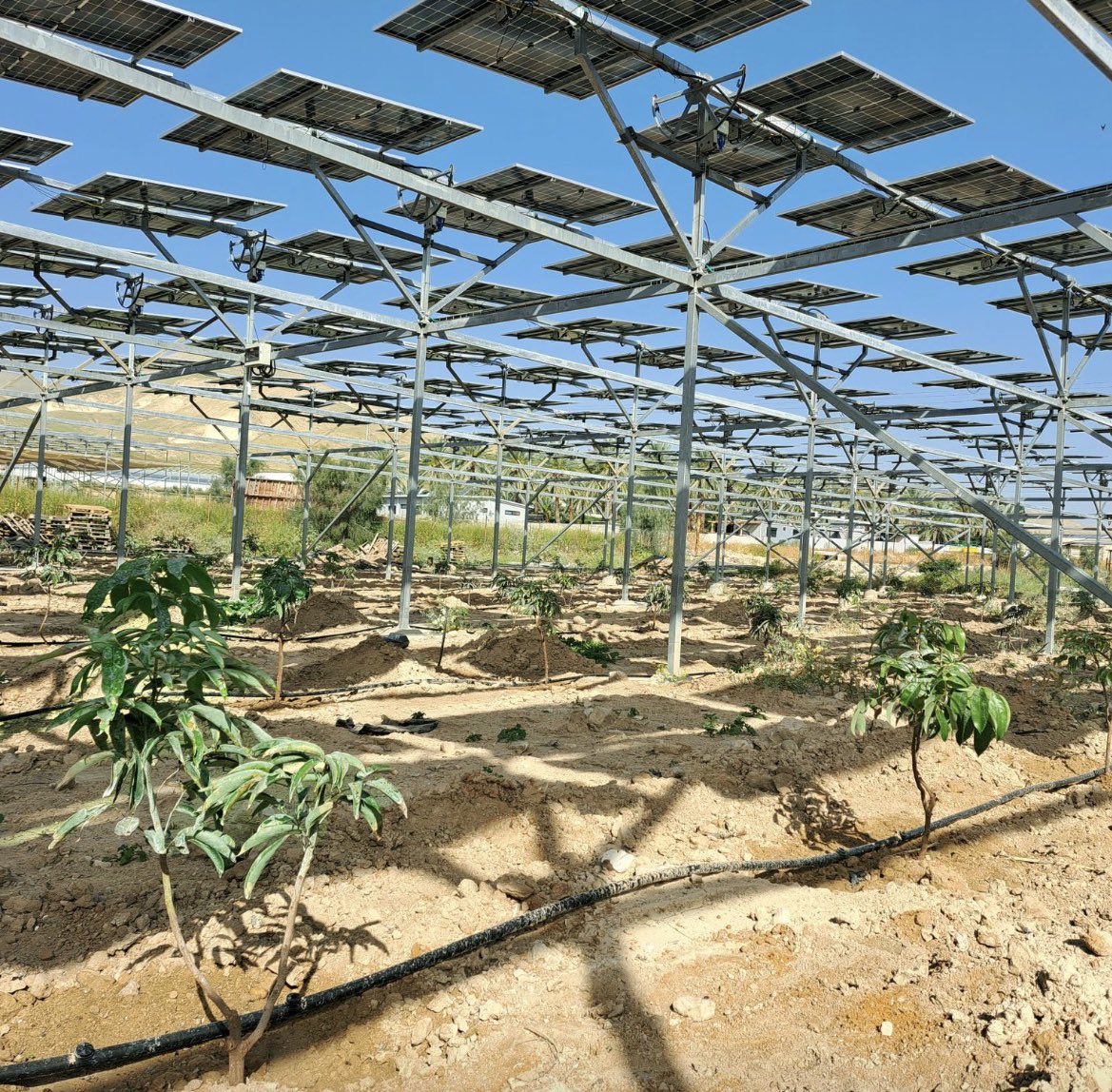 🌱☀️ Funding agrivoltaic projects is key for sustainable agriculture. Grants from USDA, DOE, &amp; EPA offer crucial support, including the Greenhouse Gas Reduction Fund ($14B). These programs can boost rural economies &amp; decarbonize energy systems. #Agrivoltaics #Sustainability