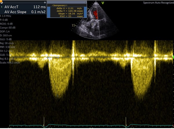 Bianca Coelho tweet media