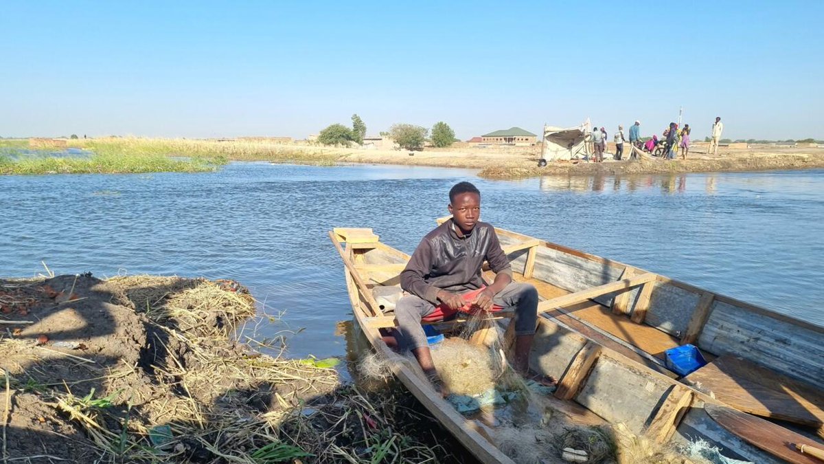 RFIAfrique's tweet photo. Au Tchad, la digue de Walia, un nouvel espace de pêche le temps des inondations https://t.co/XYysVwCUV6 https://t.co/DxLXLl06qo