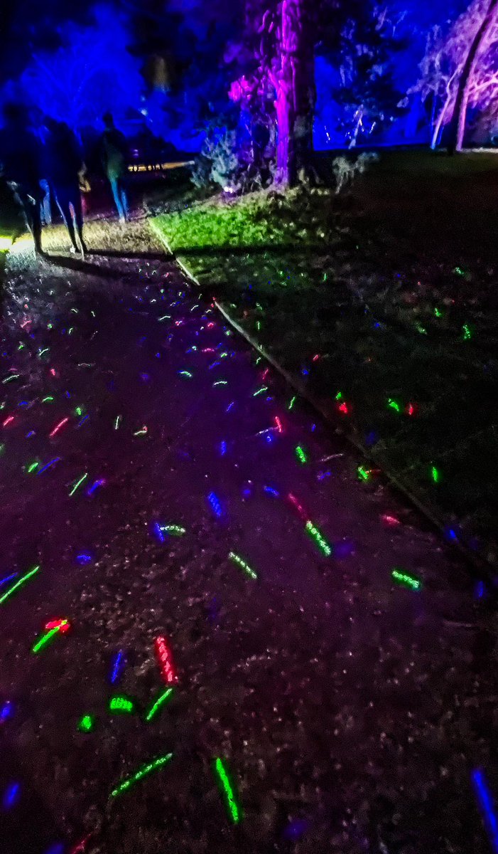 The University of Cambridge Botanic lights tonight: completely #spellbinding <a href="/CUBotanicGarden/">Cam Botanic Garden</a>