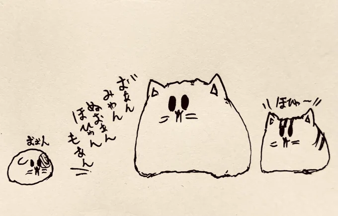 今日はおやすみ🐱やっぱ週2日休みでやっと仕事から離れられて頭の疲れがとれる… 