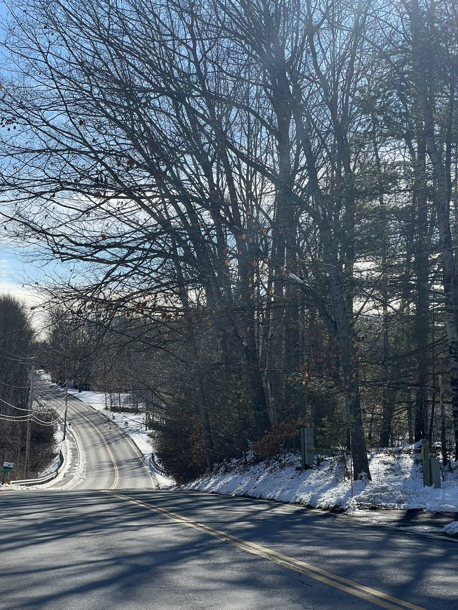 Marion Syversen tweet media