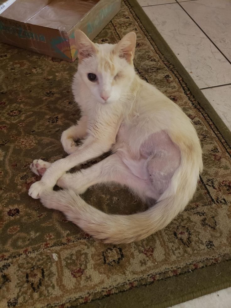 Sé que no me van a dar un beso y me compartiras porque no soy bonita